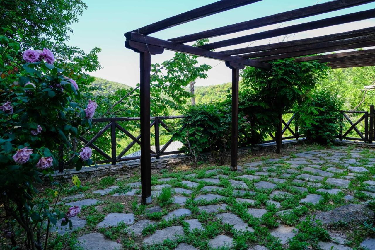 Holiday home παραδοσιακό αρχοντικό βυζίτσας: πηλιορείτικη φιλοξενία *