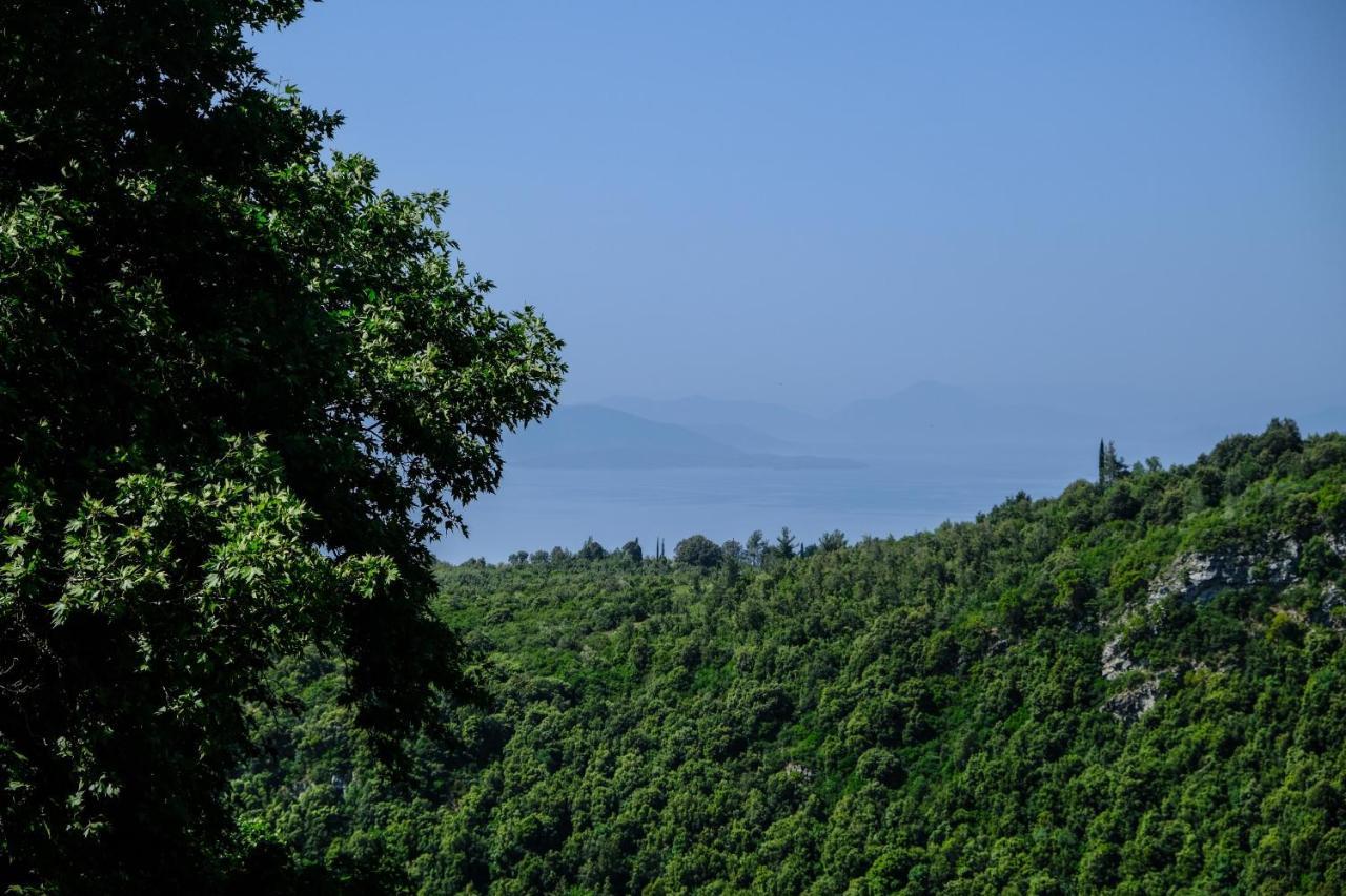 Holiday home παραδοσιακό αρχοντικό βυζίτσας: πηλιορείτικη φιλοξενία Vizitsa