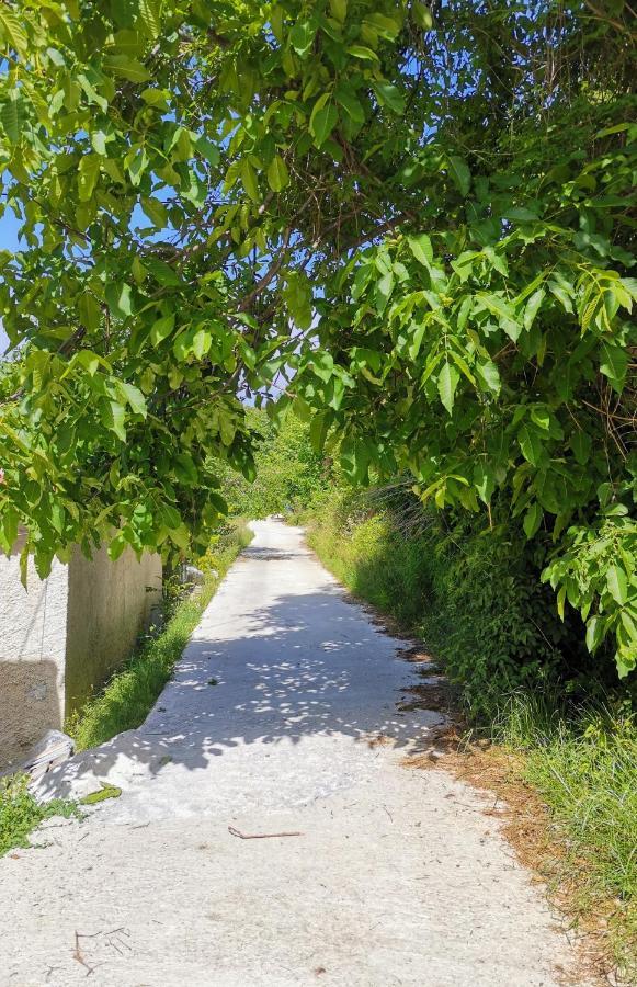 Holiday home παραδοσιακό αρχοντικό βυζίτσας: πηλιορείτικη φιλοξενία Vizitsa