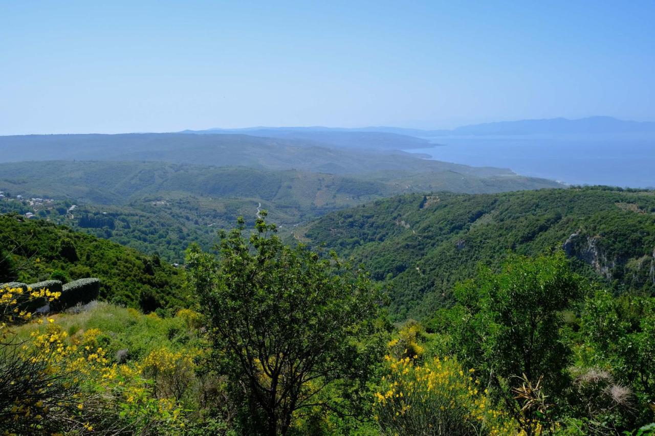 Holiday home παραδοσιακό αρχοντικό βυζίτσας: πηλιορείτικη φιλοξενία *